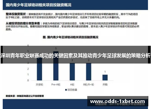 深圳青年职业联赛成功的关键因素及其推动青少年足球发展的策略分析