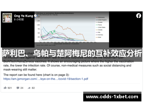 萨利巴、乌帕与楚阿梅尼的互补效应分析