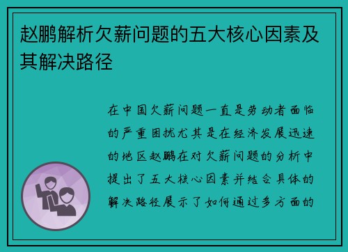 赵鹏解析欠薪问题的五大核心因素及其解决路径