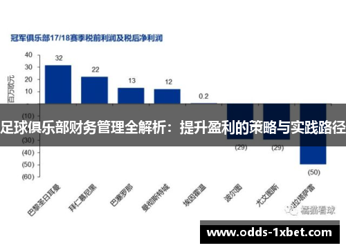 足球俱乐部财务管理全解析：提升盈利的策略与实践路径