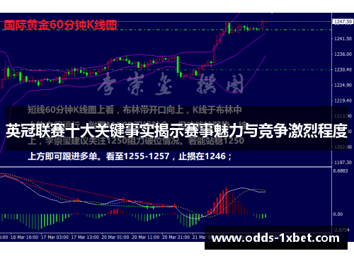 英冠联赛十大关键事实揭示赛事魅力与竞争激烈程度